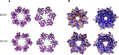 Polygon kles&aacute; o 8,69 % a přeprodan&eacute; podm&iacute;nky omezuj&iacute; potenci&aacute;l odrazu pobl&iacute;ž podpory na 0,0803 $: t&yacute;denn&iacute; zpr&aacute;va